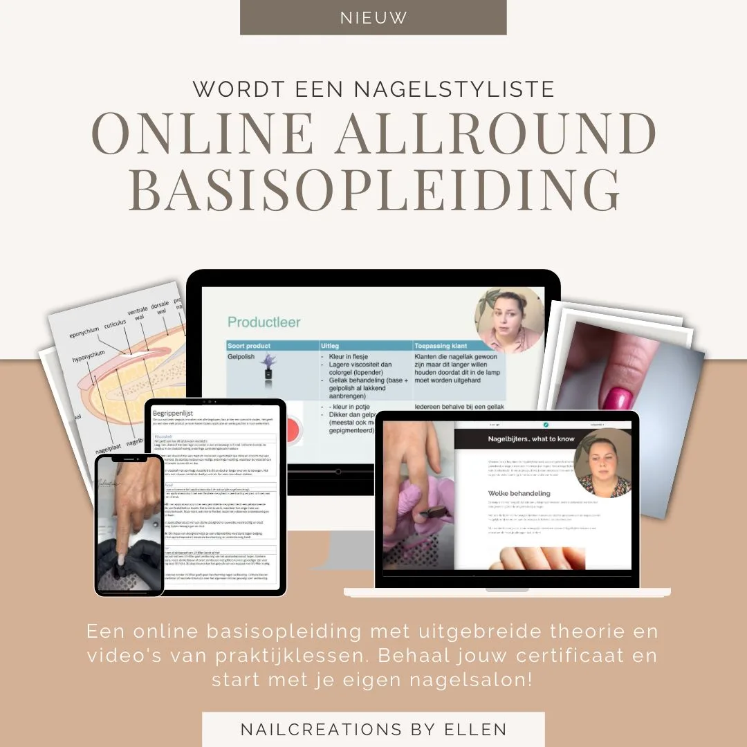 Online allround basisopleiding O.L.V Ellen Vaneechaute