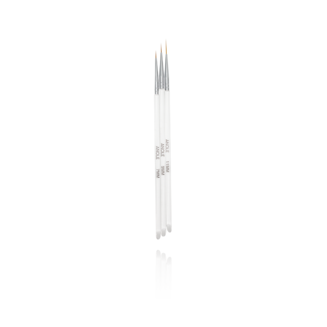 Set Fine Liners Anole